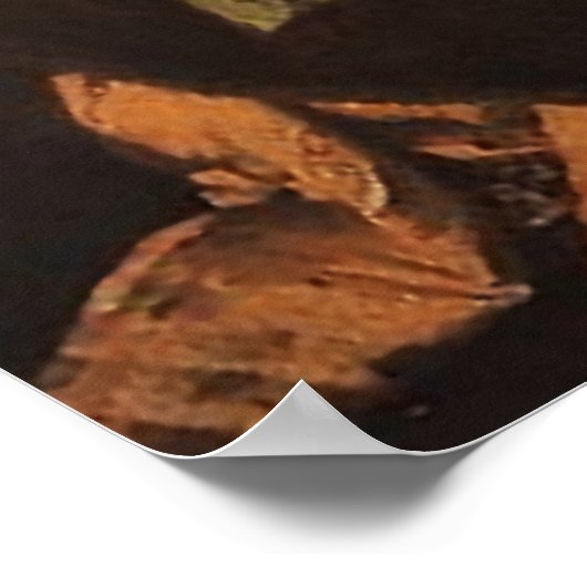 St. Veronicas Veil Heilige Gesichtshälfte Bild 03B Poster (Ecke)