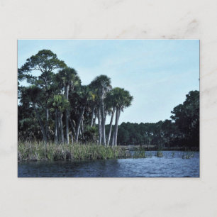 St. Vincent National Wildlife Refuge Freshwater La Postkarte