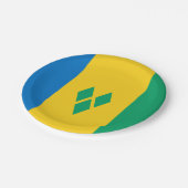 St. Vincent und die Flagge der Grenadinen Pappteller (Schrägansicht)
