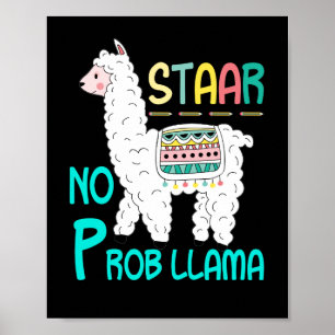 STAAR Test No Prob Llama Lehrer Test Poster