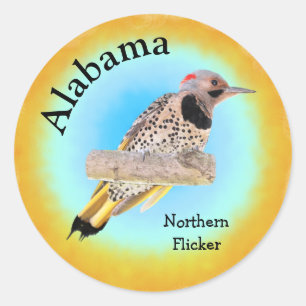 Staat Bird of Alabama Runder Aufkleber