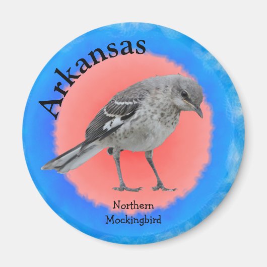 Staat Bird of Arkansas Magnet (Vorne)