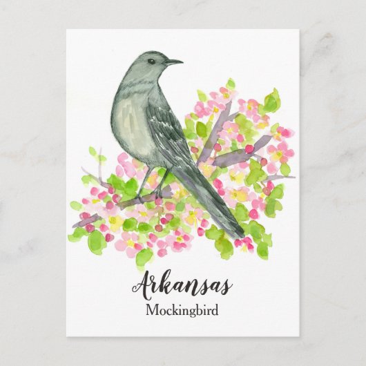 Staat Bird of Arkansas Mockingbird Apple Blossom Postkarte (Vorderseite)