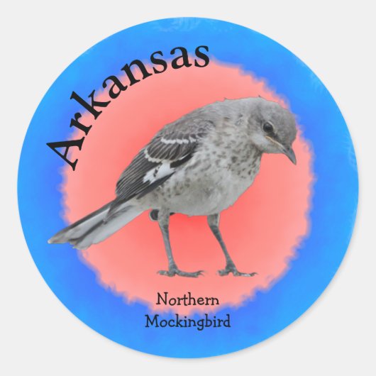 Staat Bird of Arkansas Runder Aufkleber (Vorderseite)