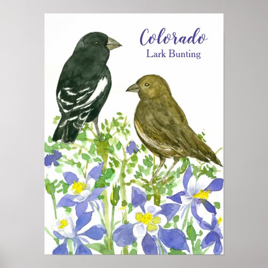 Staat Bird of Colorado Wilhelm Tell Wildblumen Poster (Vorne)