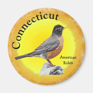 Staat Bird of Connecticut Magnet