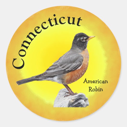Staat Bird of Connecticut Runder Aufkleber (Vorderseite)