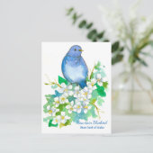Staat Bird of Idaho Mountain Bluebird Postkarte (Stehend Vorderseite)