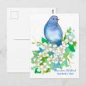 Staat Bird of Idaho Mountain Bluebird Postkarte (Vorne/Hinten)