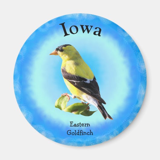 Staat Bird of Iowa Magnet (Vorne)