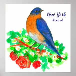 Staat Bird of New York Watercolor Bluebird Poster