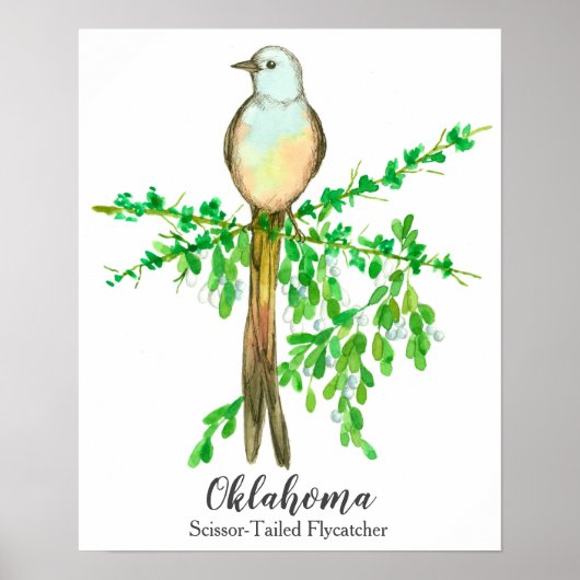 Staat Bird of Oklahoma Scissor Tegelflycatcher Poster (Vorne)