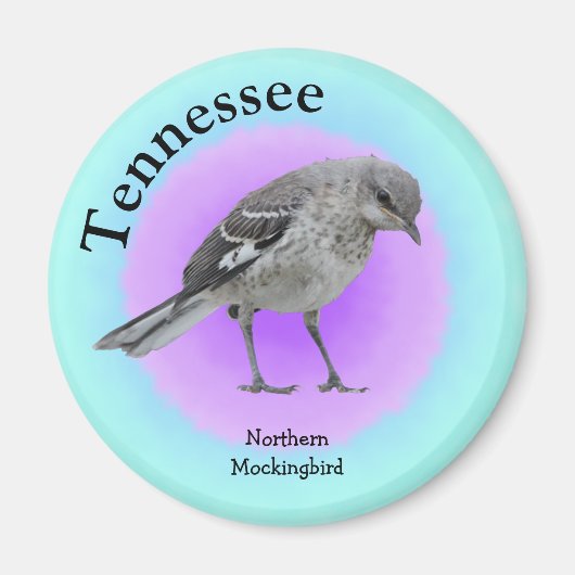 Staat Bird of Tennessee Magnet (Vorne)