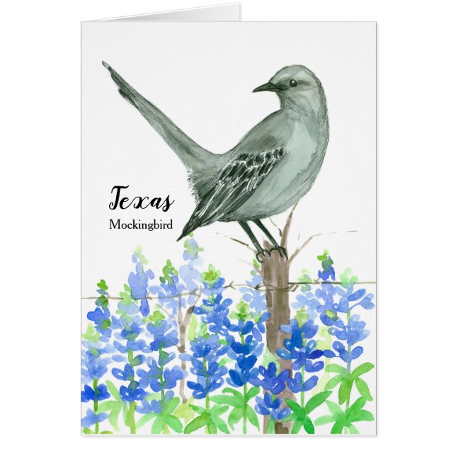 Staat Bird of Texas Mockingbird Wasserfarbe Leere (Vorne)
