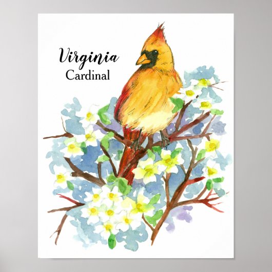 Staat Bird of Virginia Kardinal Wasserfarbe Poster (Vorne)