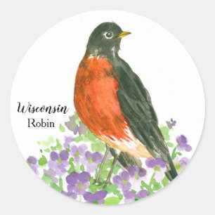 Staat Bird of Wisconsin Robin Wood Violet Runder Aufkleber