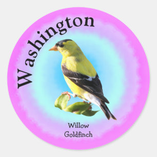 Staat Bird von Washington Runder Aufkleber