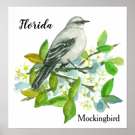 Staat Blume Florida Orange Blossom Mockingbird Poster (Vorne)