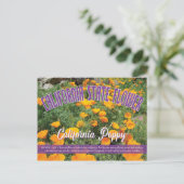 Staat Blume Kalifornien, Kalifornien Poppy Postkarte (Stehend Vorderseite)