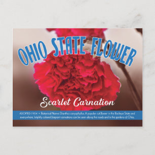 Staat Blume Ohio Scarlet Carnation Postkarte