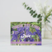 Staat Blume Tennessee Iris Postkarte (Stehend Vorderseite)