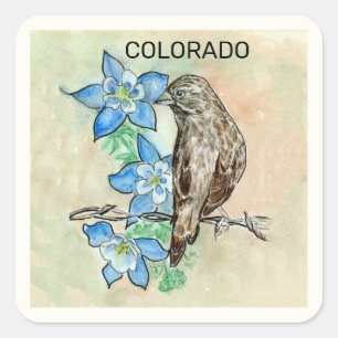Staat Colorado - Vogel und Blume Quadratischer Aufkleber