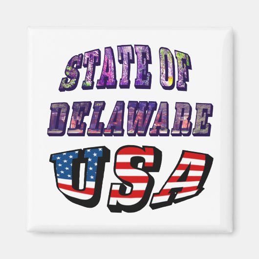 Staat Delaware Picture und USA Flag Text Magnet (Vorne)