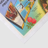 Staat der alten Vintagen Reise-Andenkens Vermont Seidenpapier (Ausschnitt)