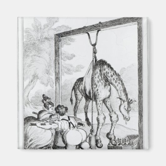 Staat der Giraffe, 1829 Magnet (Vorne)
