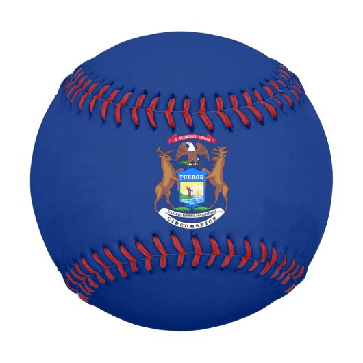 Staat der Michigan-Flagge Baseball (Vorderseite)