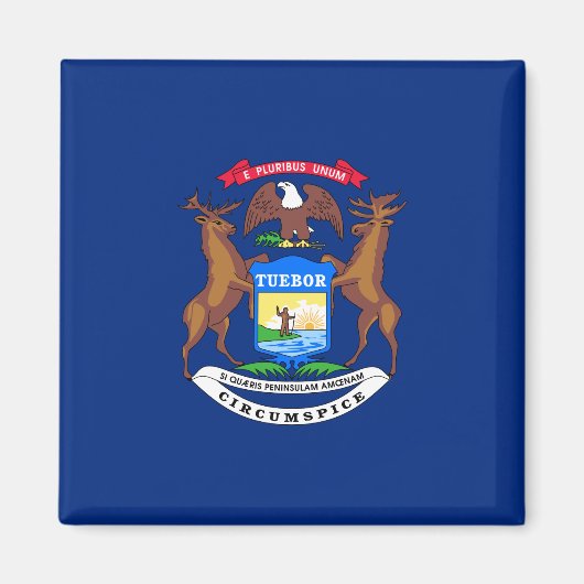 Staat der Michigan-Flagge Magnet (Vorne)