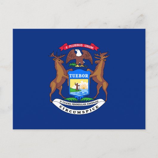 Staat der Michigan-Flagge Postkarte (Vorderseite)