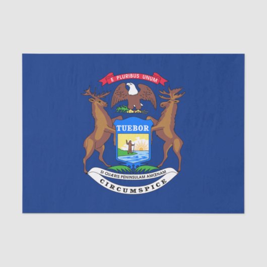 Staat der Michigan-Flagge Seidenpapier (Vorderseite)