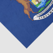 Staat der Michigan-Flagge Seidenpapier (Ausschnitt)