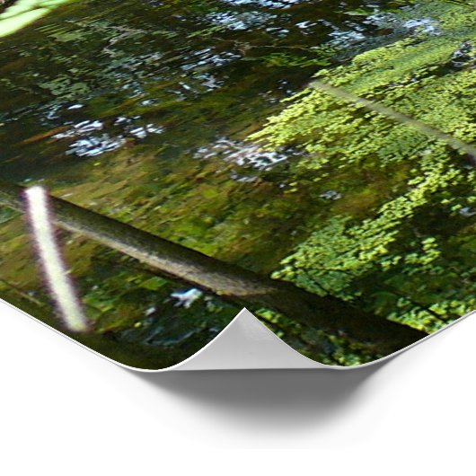 Staat der Verwirrung Poster (Ecke)