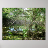 Staat der Verwirrung Poster (Vorne)