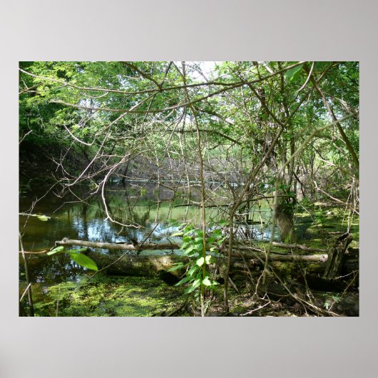 Staat der Verwirrung Poster (Vorne)