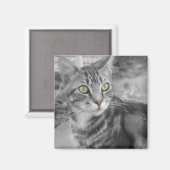 Staat des Wunders Magnet (Vorderseite/Rückseite)