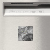 Staat des Wunders Magnet (In Situ (Geschirrspüler))