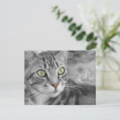 Staat des Wunders Postkarte (Stehend Vorderseite)