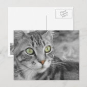 Staat des Wunders Postkarte (Vorne/Hinten)