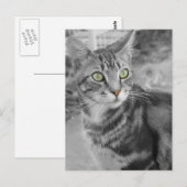 Staat des Wunders Postkarte (Vorne/Hinten)