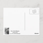Staat des Wunders Postkarte (Rückseite)
