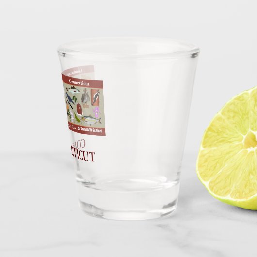 Staat-Gedenkglas von Connecticut Schnapsglas (Rechts)
