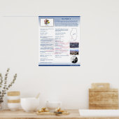 Staat Illinois, IL Poster (Küche)