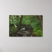 Staat Parco Civico-Ciani Leinwanddruck (Vorderseite)