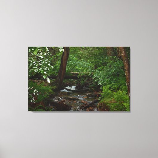 Staat Parco Civico-Ciani Leinwanddruck (Vorderseite)