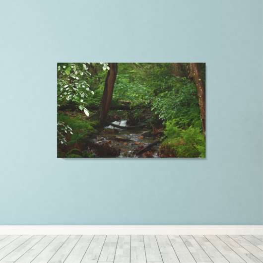 Staat Parco Civico-Ciani Leinwanddruck (Insitu (Holzboden))