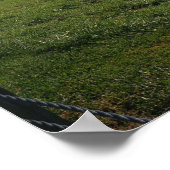 Staat Park Malabar Vom Monte Jeez, Ohio Poster (Ecke)