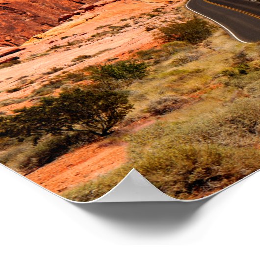 Staat Park Nevada USA Poster (Ecke)